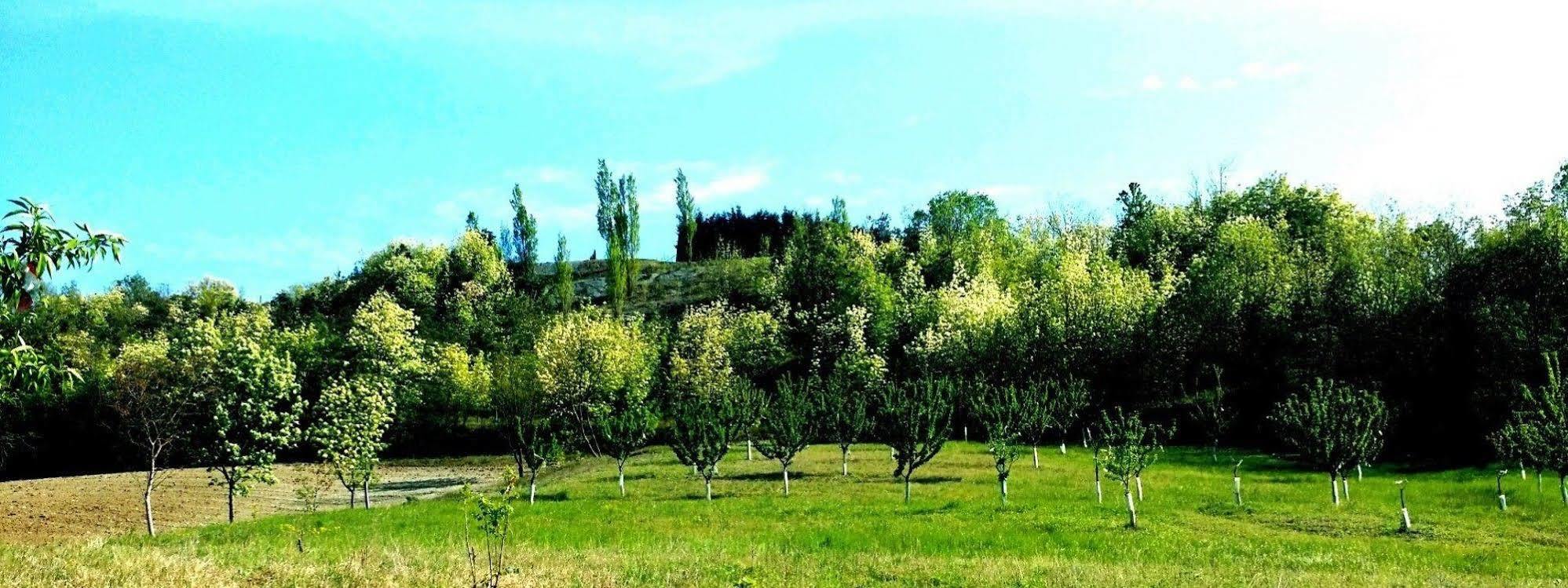 Tenuta Valdorso - Agri Resort Montechiaro D'acqui Kültér fotó