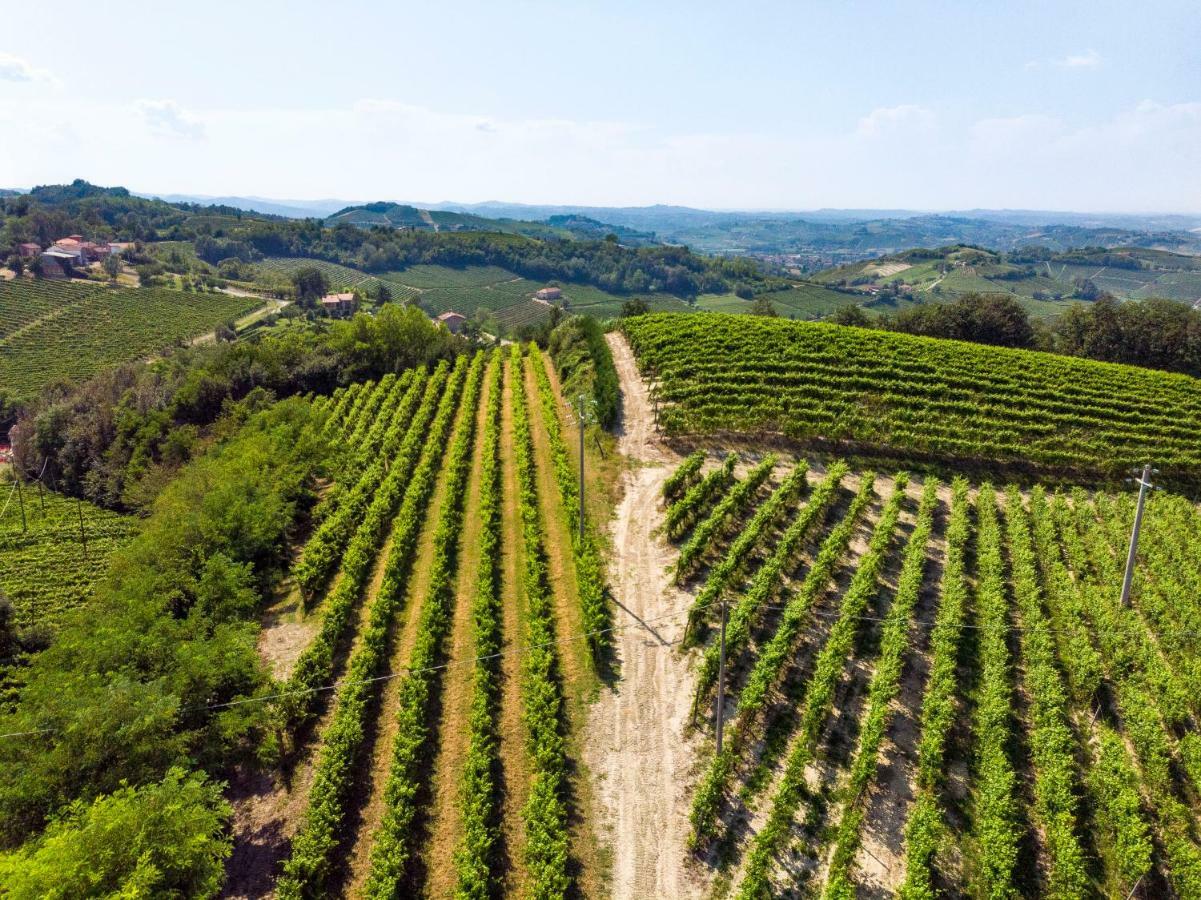 Tenuta Valdorso - Agri Resort Montechiaro D'acqui Kültér fotó